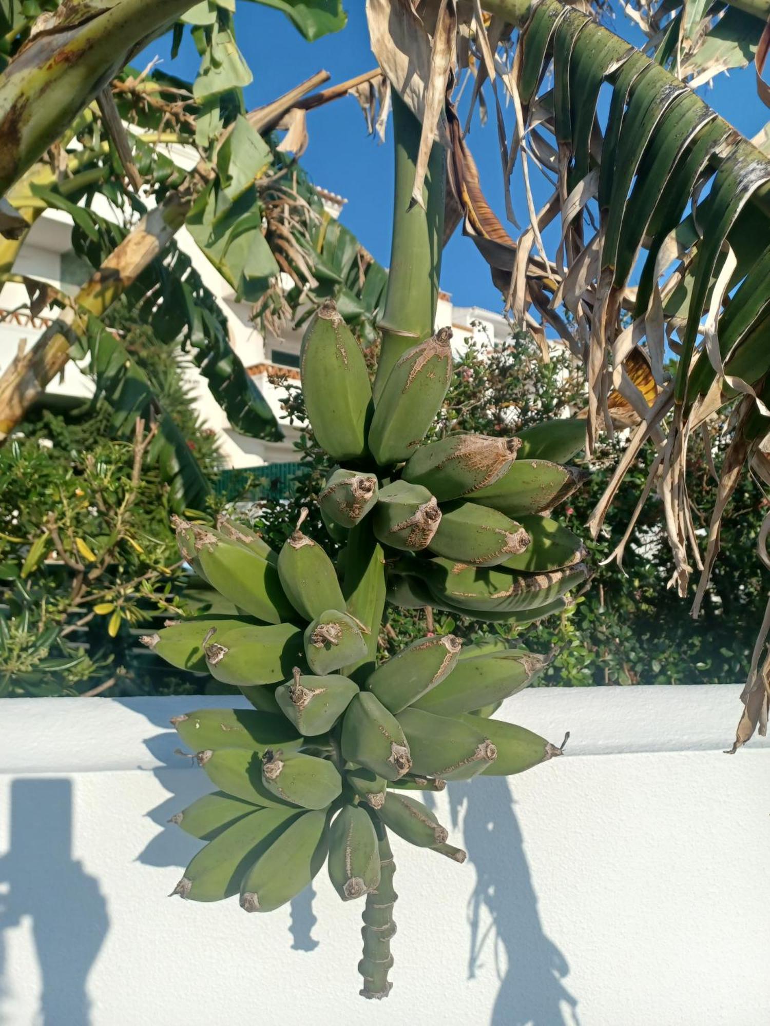Ericeira Su Villa'S Eksteriør billede