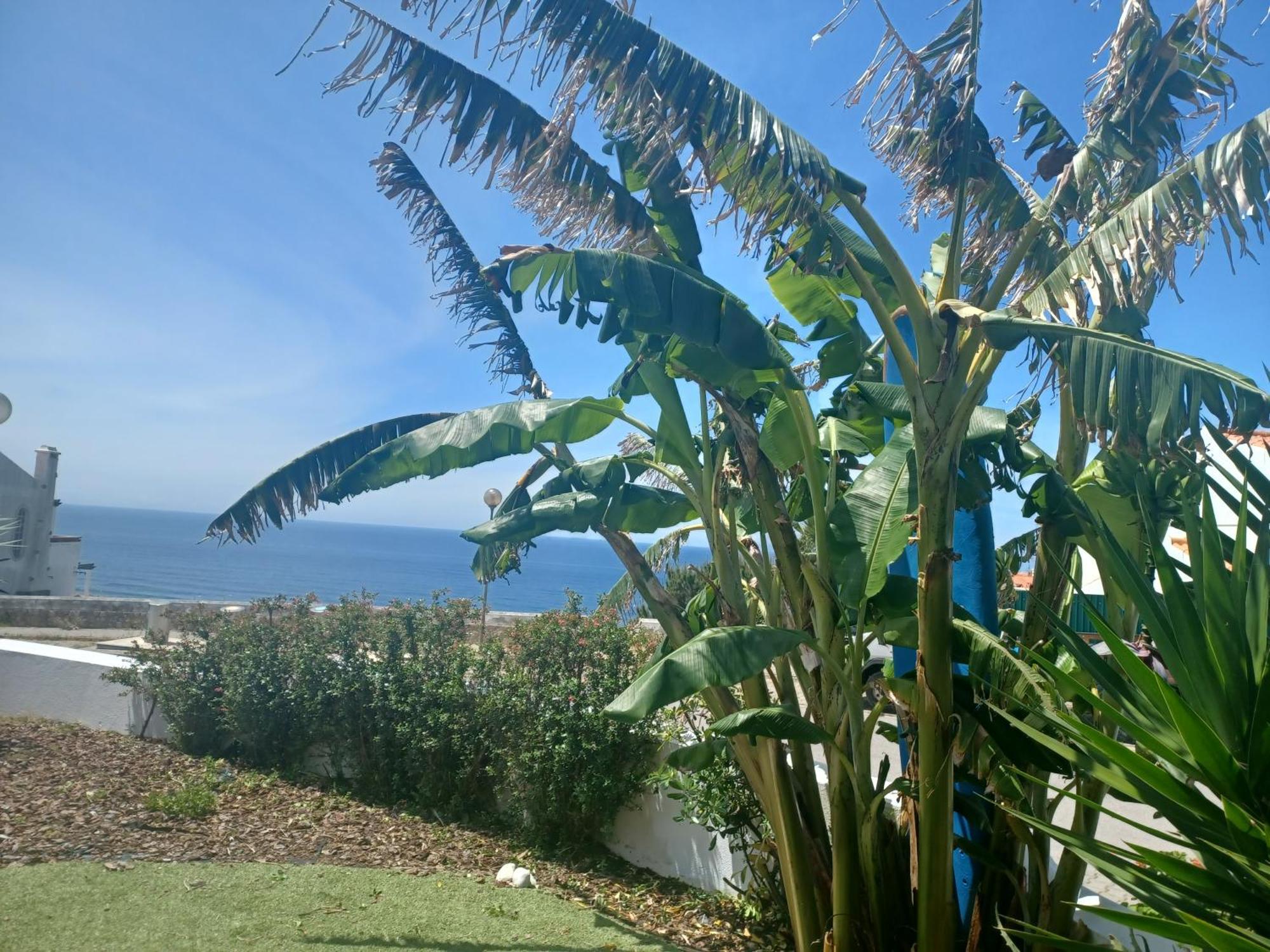 Ericeira Su Villa'S Eksteriør billede