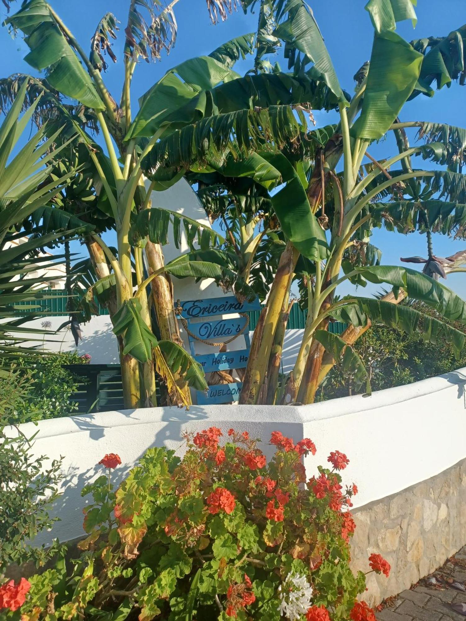 Ericeira Su Villa'S Eksteriør billede