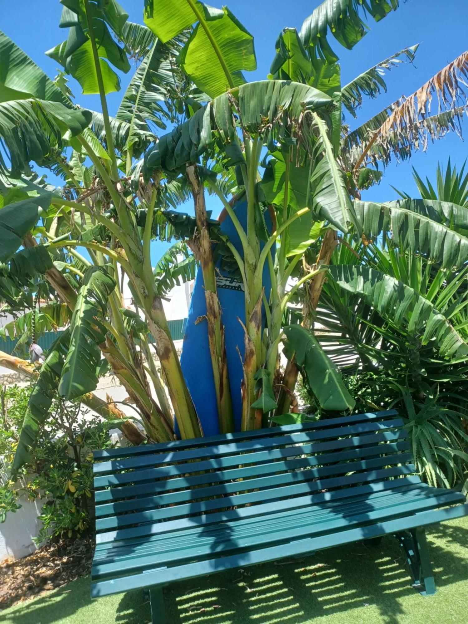Ericeira Su Villa'S Eksteriør billede